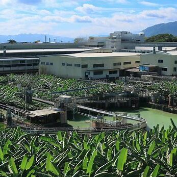 Banana Republic Factory 